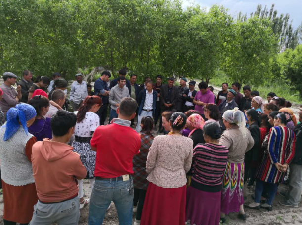 新疆党委办公厅驻村工作队携手农业科技专家补钙助力生产