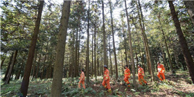 六十年三代林业工人的护林情结