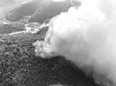 金海湖山火4小时扑灭 800余人参与扑救