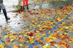 落叶也是秋色，何必强求扫尽