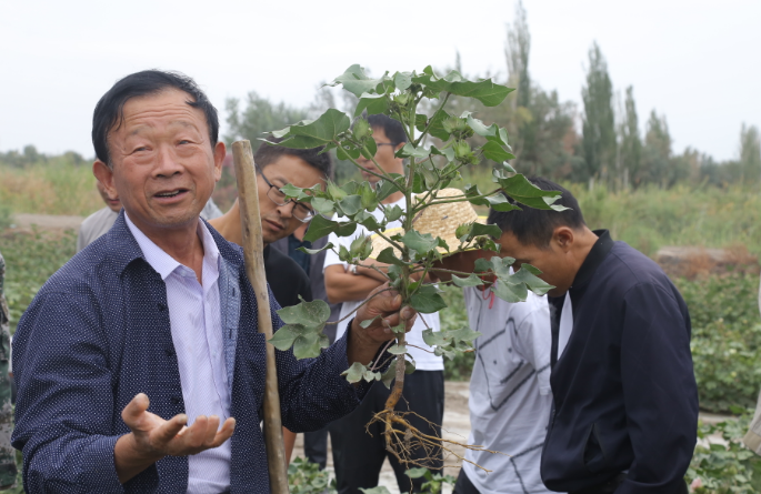 一师七团开展打破土壤深层板结储水节水示范田观摩会