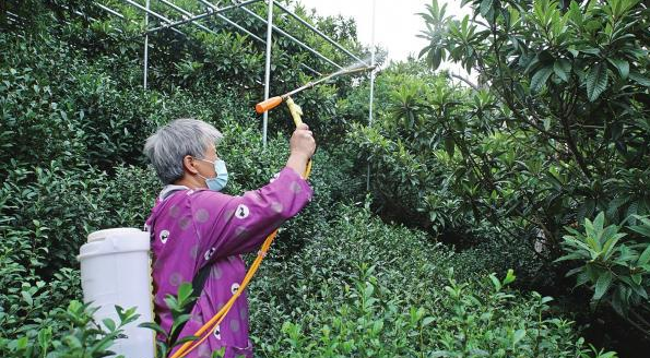 城乡社保并轨，托起“稳稳的幸福”