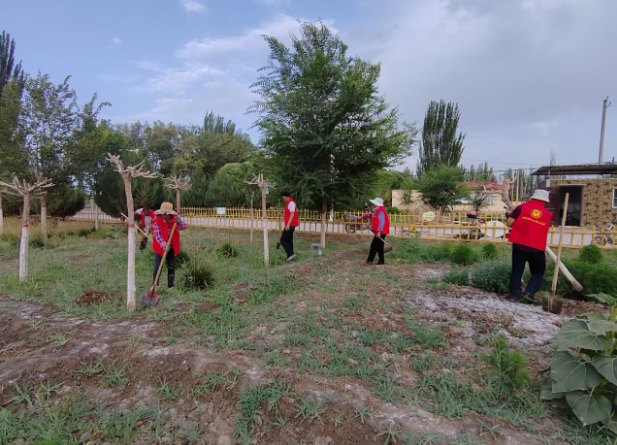 新时代文明实践|九团一连组织志愿者清理花园林带