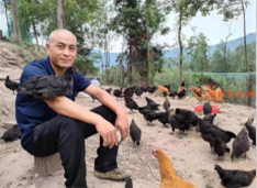 阆中市兄妹家庭农场土鸡产业高质量发展