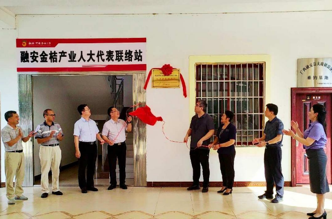 柳州：“金桔老家”首个民族共同体联络站成立